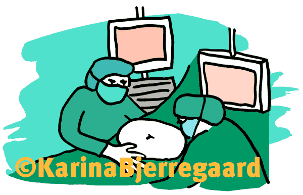 karina_bjerregaard_operation