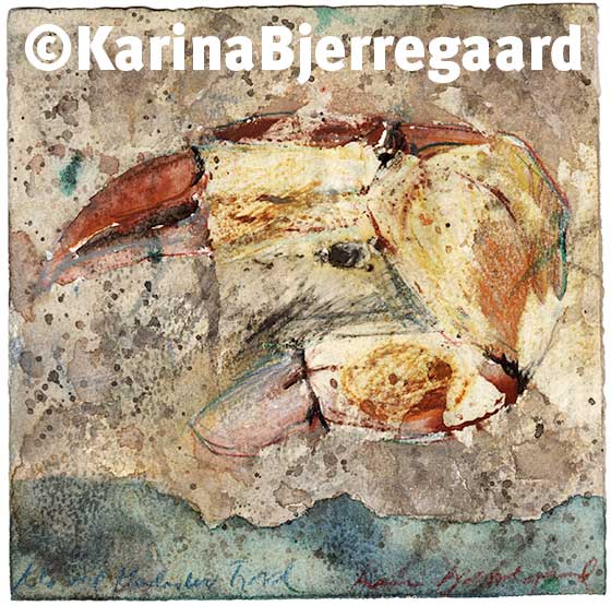 karina_bjerregaard_shellfish_claw