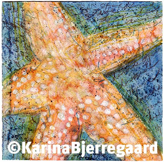 karina_bjerregaard_starfish